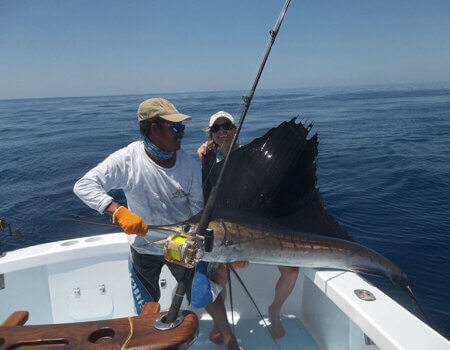 wta_1244_0UKZW4_IMG_3667