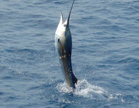 wta_1244_584RK6_GSC_7