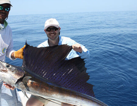 wta_1244_5OYBX6_IMG_3668