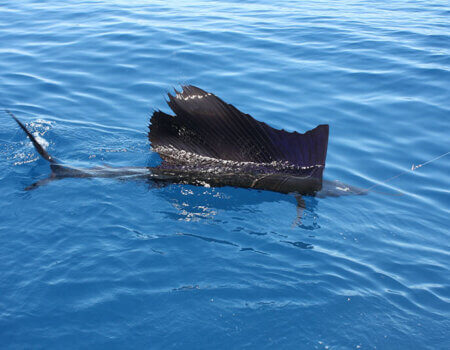 wta_1244_7UHM2X_IMG_3671