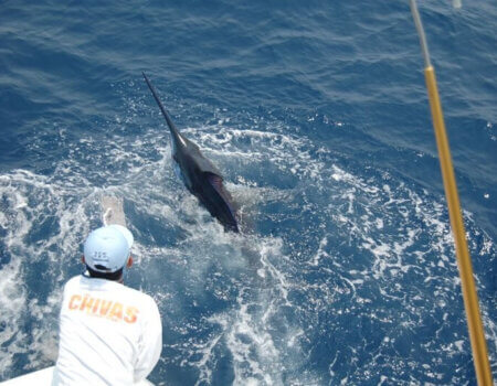 wta_1244_C1DBEN_GSC_10