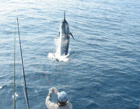 wta_1244_FW5R55_GSC_15