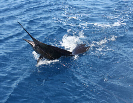 wta_1244_NMXE3K_IMG_3670