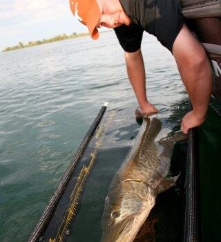 wta_1251_SBM45X_muskie76h_14