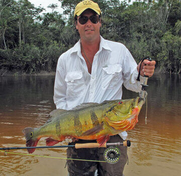 wta_1257_3Q4IT7_PeacockwithaFly.jpg-edited