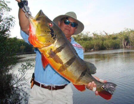 wta_1257_KQH2JG_Edson-b_0