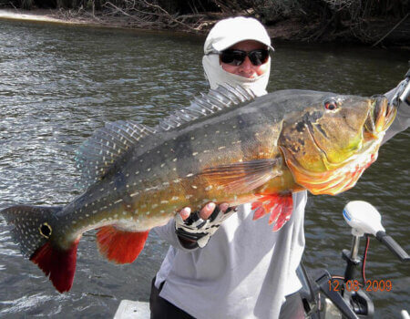 wta_1257_O9H8P4_fishing-peacock-bass-21-bg