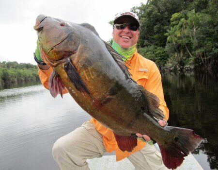 wta_1257_QPB2AI_bass