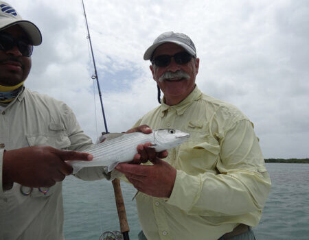 wta_1259_1P2LEM_patellis