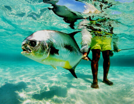 wta_1259_6HW9EJ_2OKeefe-underwaterpermit272dpi