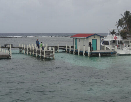 wta_1259_A019AF_dock