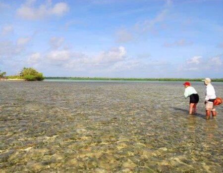 wta_1259_CC2ZK5_5GUN_0046