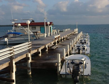 wta_1259_D39KXN_image0054