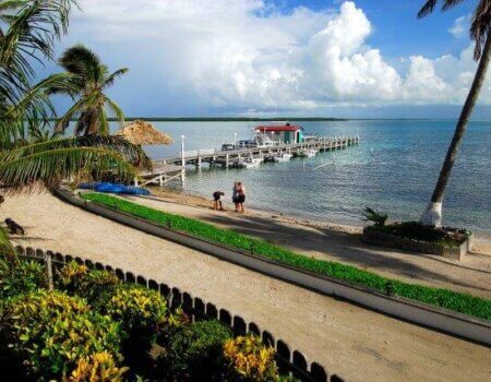 wta_1259_OZV84G_GUN_02260003