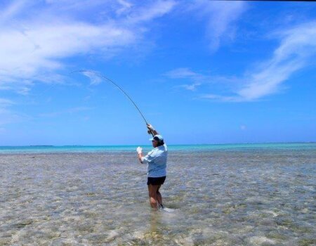 wta_1259_QFS4DT_P8252812