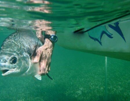 wta_1259_WMF0RX_5Renkert-permitunderwaterE