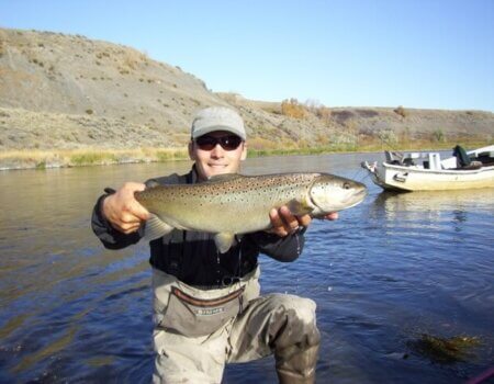 wta_1262_IDOXQ8_brown1