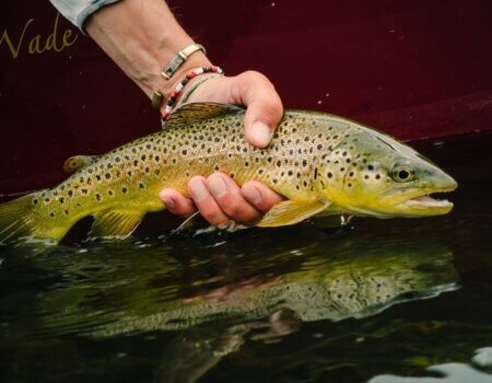 wta_1262_S3ZIJH_2014_MT_Flyfishing_TS_0603