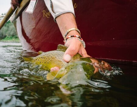wta_1262_W6LTN4_2014_MT_Flyfishing_TS_0607