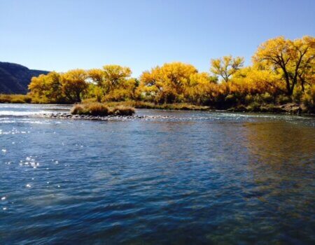 wta_1263_764KKC_AutumnPeak20131