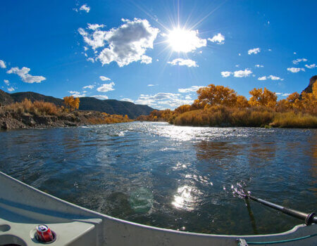 wta_1263_9PW87C_Autumn2009