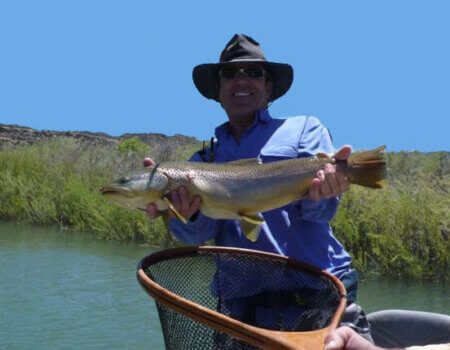 wta_1263_L1O2PE_BigBrownJune2008copy_edited-2