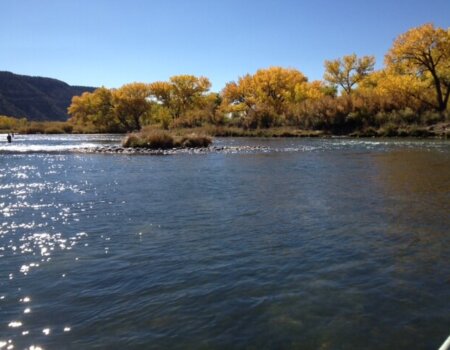 wta_1263_OKONZP_AutumnPeak20132