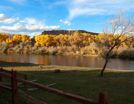 wta_1263_P8NL2O_Autumn20092