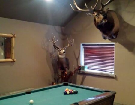 wta_1274_PAF0O6_deadlinelodge2