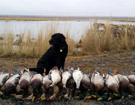 wta_1276_50WUTX_FB_IMG_1427244614652