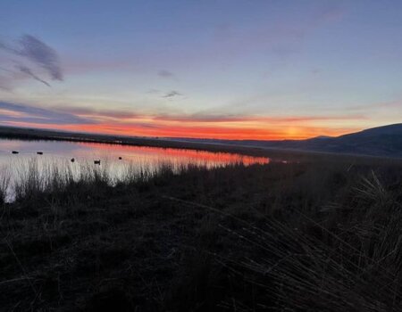 wta_1276_Pacfic wings 6