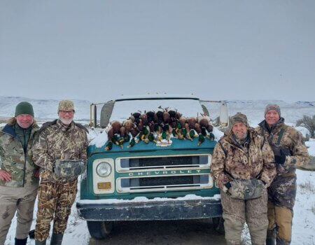 wta_1276_Pacific Wings 2