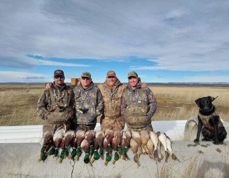 wta_1276_Pacific wings 3