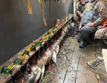 wta_1276_Pacific wings 5