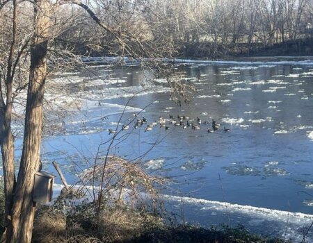 wta_1276_Pacific wings 8