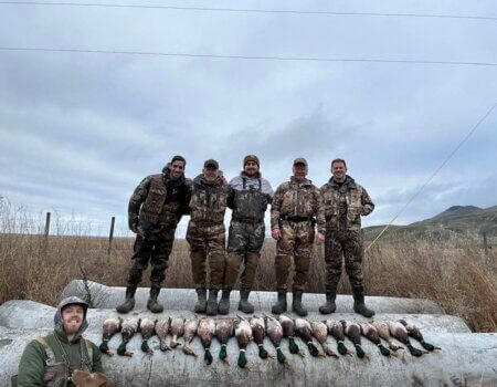 wta_1276_pacific wings 7