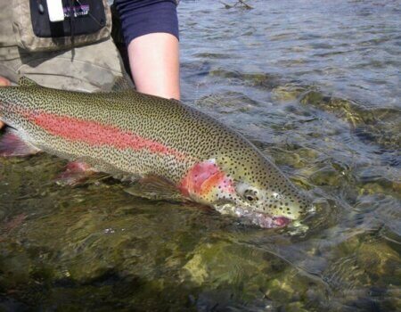 wta_1278_IUQZC7_clintslatesummerearlyfall058