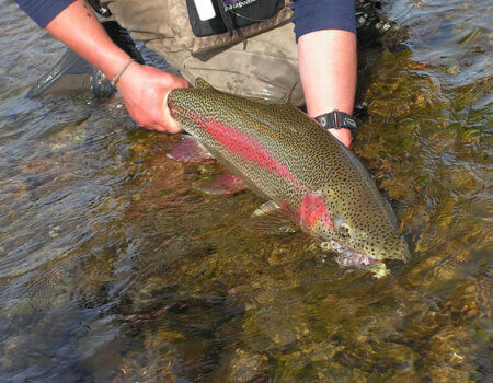 wta_1278_QFAO8N_Rainbow