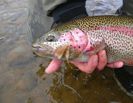 wta_1279_0ICD8J_DSCN1394