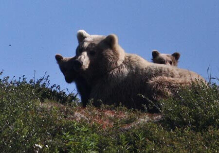 wta_1279_5WTX03_untitled-306