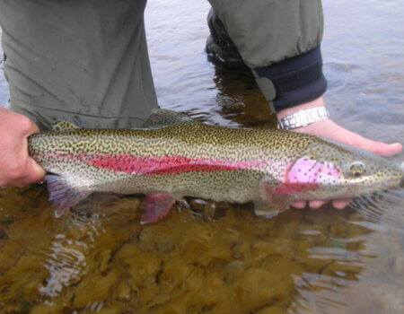 wta_1279_NQTLHN_DSCN1391