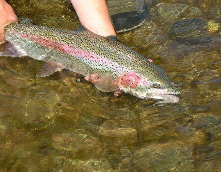 wta_1279_WP714S_DSCN1161