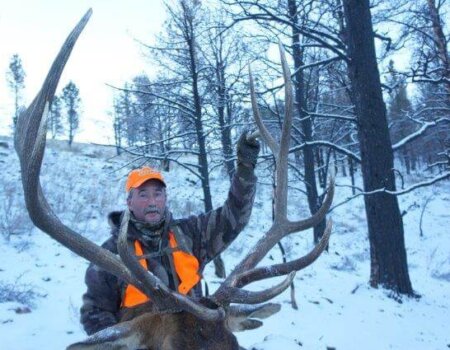 wta_1286_86F02V_elkFloyd036