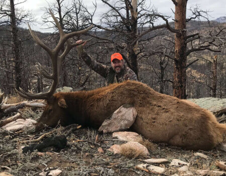 wta_1286_MQO0N8_vincebull1