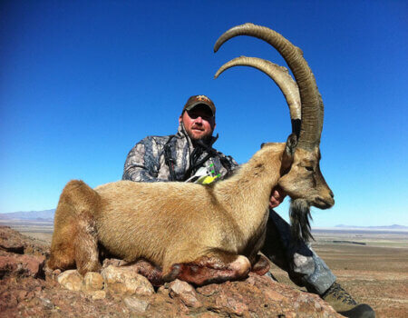 wta_1296_7AKG38_photo1