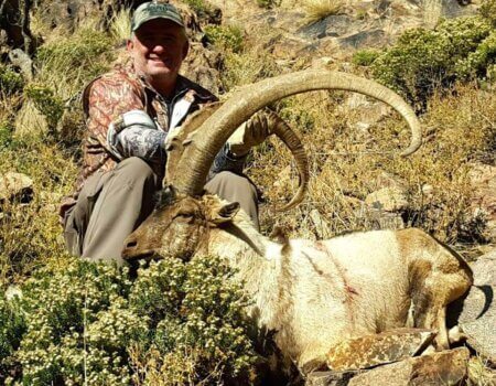 wta_1296_XINENC_KiowaIbex2