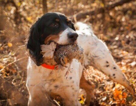 wta_1301_68COT0_WL-1378