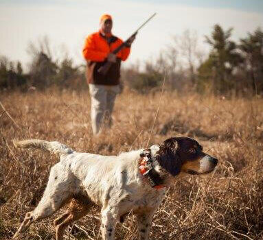 wta_1301_PA4JBL_WL-1357