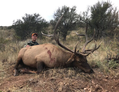 wta_1302_H0VVVG_TaylorWinkel-COUnit1MuzBull-Horox