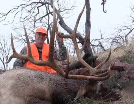 wta_1302_SFYAIC_horax1